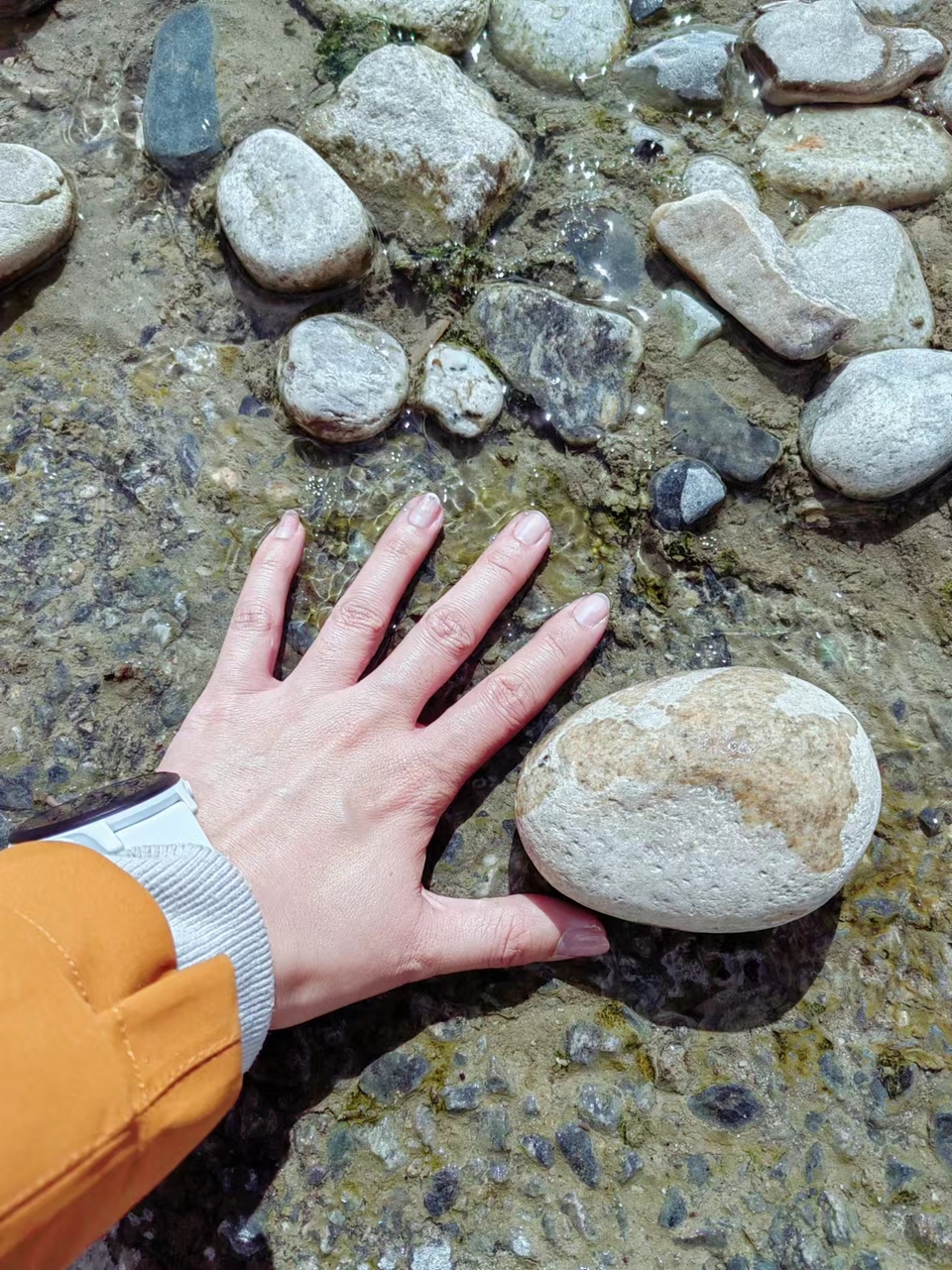 fbzzYNdnG7DejF84lP8XHZSfcaphOYRywWkGdPpnsb5kOjE_SKbRSZVKDSn7LtTS