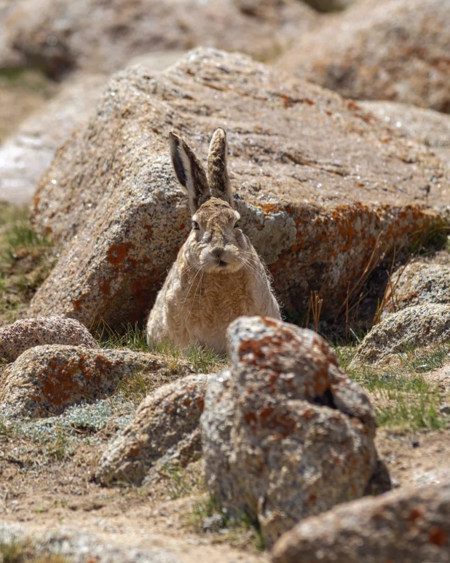 yAsuYVWWkrBTWL9zTO5V9VfCs9wxkPnzebvKS46-rS6OtQl6NrMDQDCC3BHGFmT5