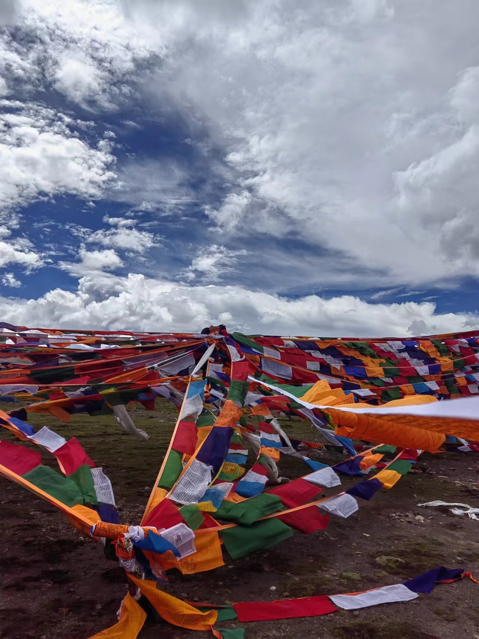 yAsuYVWWkrBTWL9zTO5V9cWU3jgEi0rQNIlofJIoYVZpf6Qgab2IPQhpRrsfce2p