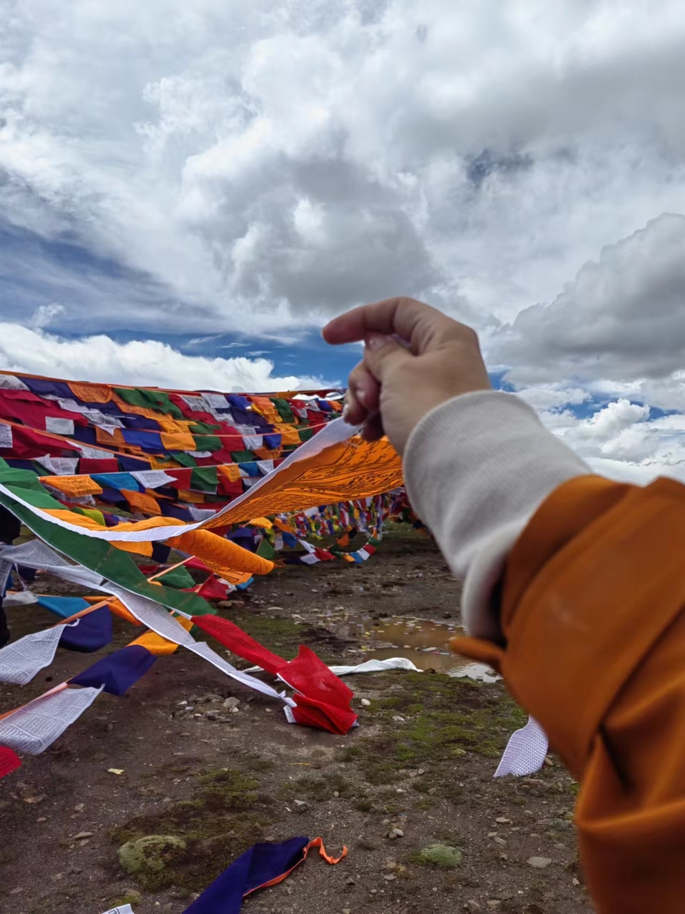 TOSq5Pt7__i501xhrDoSMvNvCCUM97wUW47q5_UE3gQEbZyfhHS4DlImlq3Ch6kB