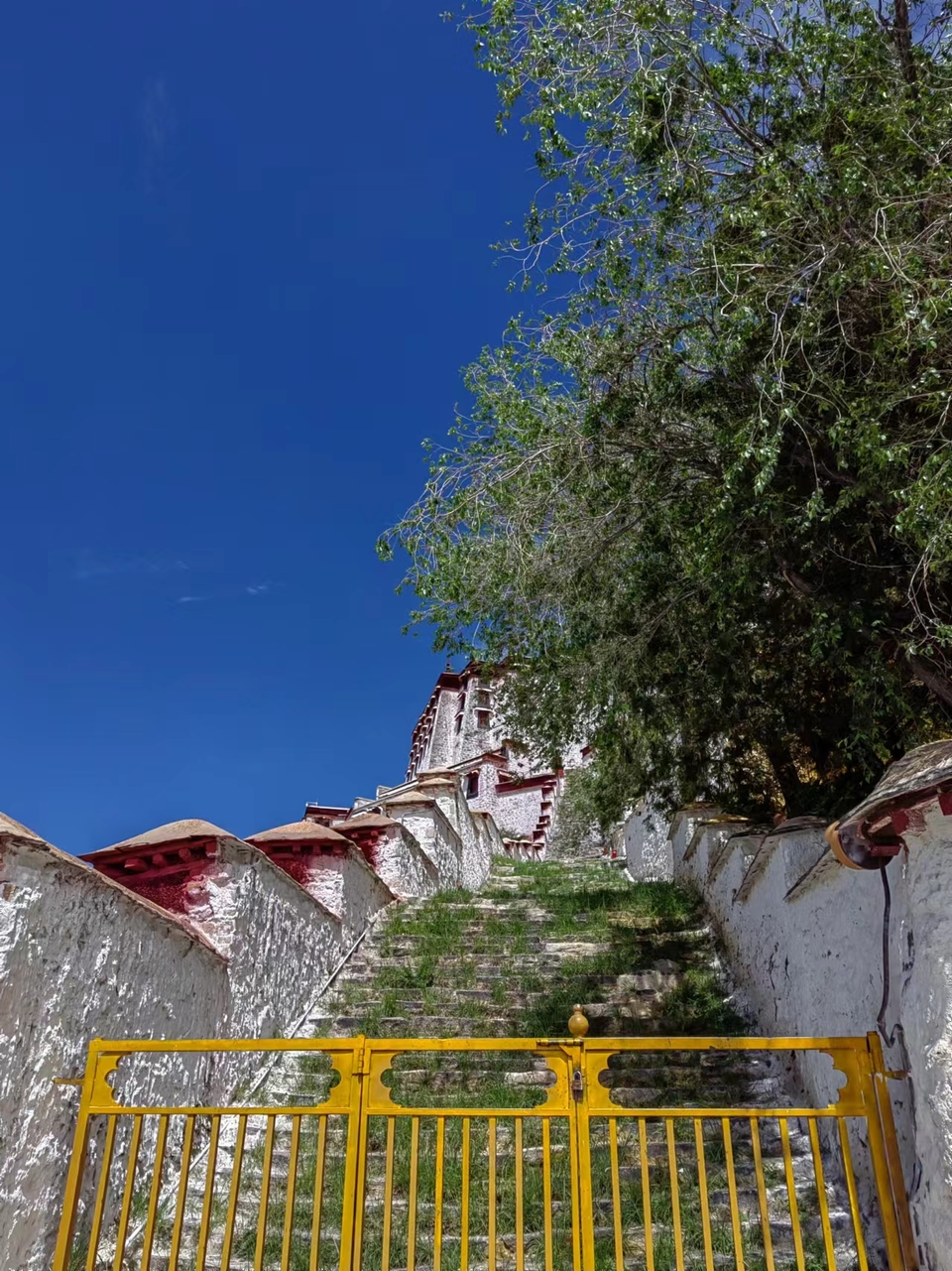 h4QxfGvwEs38S9XNvKzev19erQC-GqGV921BOLG65lew-xRjl_p27cLW-BQnV-In