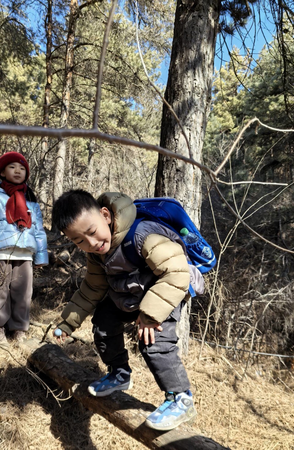 1FgqSml9A1cX4ic5yJDb32ypPqXcsaXGIJHgV6Rf7GtmMgYD-M-YJdjB2kQ56T7c