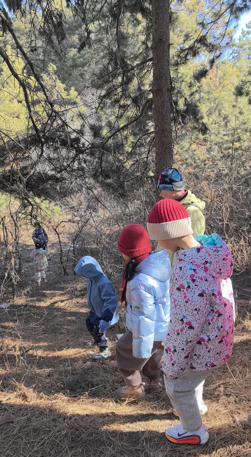 1FgqSml9A1cX4ic5yJDb336Q019-VRLSnweU2O9LC71eVSD5igMnmdc9ycEZSLPj