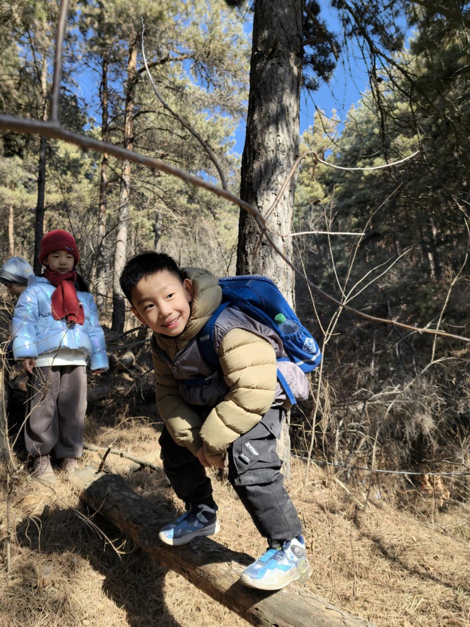 1FgqSml9A1cX4ic5yJDb3wjm6PUgydnNW8OwW1J1hArTJ7AfT1ft7hQOeb1dXBlB