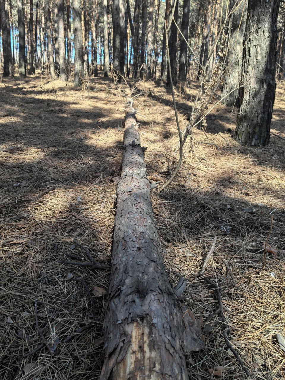 1FgqSml9A1cX4ic5yJDb3xoYiNXMbJ3aGp4y152j5wezZJ9Hm8Py8wGjTJtl1Nti