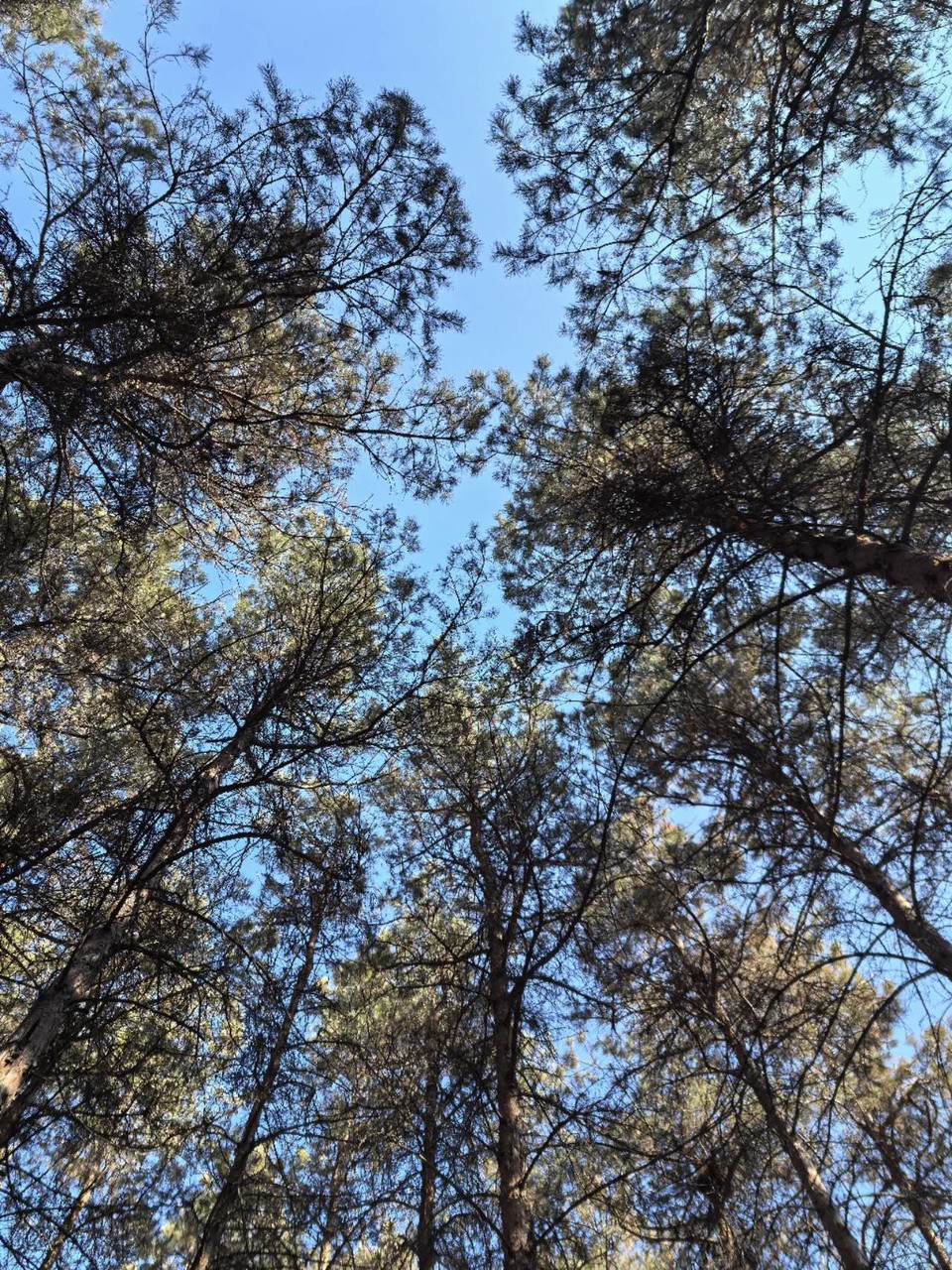 1FgqSml9A1cX4ic5yJDb31_EydEOwpRO8bJzbN7BYc9PS-7AuZjtY6a8Xfqmo0rU