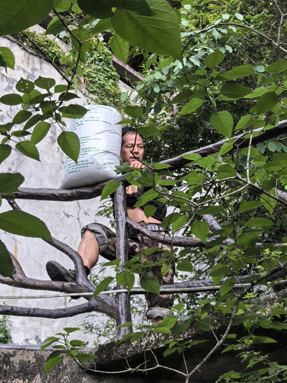 uFZoo1rkq_Vu9qhGIyHalfqZjLdAVJ8oI3k21UB7H1dfEi0rOul4Z377Xi5uzt2V