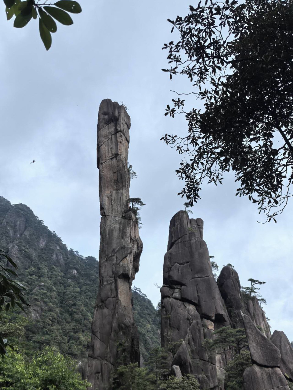 uFZoo1rkq_Vu9qhGIyHalekJvXQGrwVCeOMJJj-KzhectvJdkSEFqjVQigKsl5vS