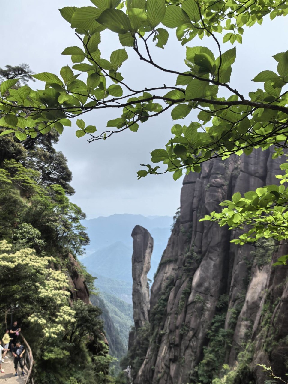 uFZoo1rkq_Vu9qhGIyHalYDsKf8QuAyj1lj8klMsH0s-EseVJsUyDw7ilsDbPzkW