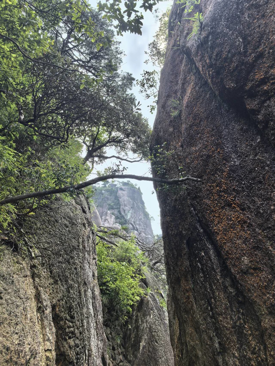 uFZoo1rkq_Vu9qhGIyHalQnUbWCqUP7P4RB9Bnj90HSuKRwgL_yU-z_GH1tPWwLv