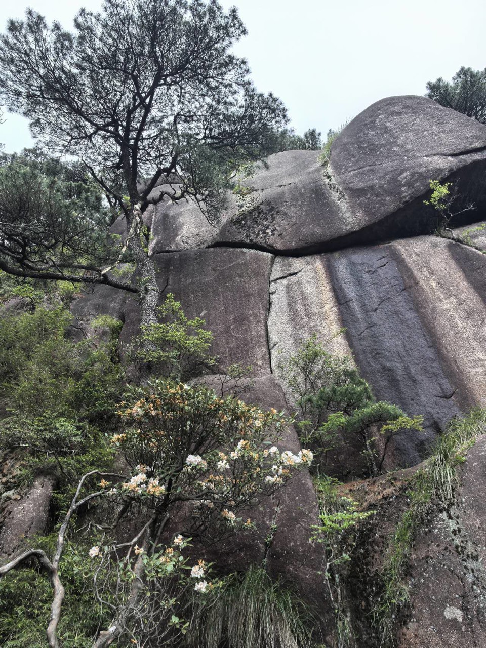 uFZoo1rkq_Vu9qhGIyHalVVIzcOukLyYBhTpEt8pSQvVlLjobZBQv-tC13gERB-R