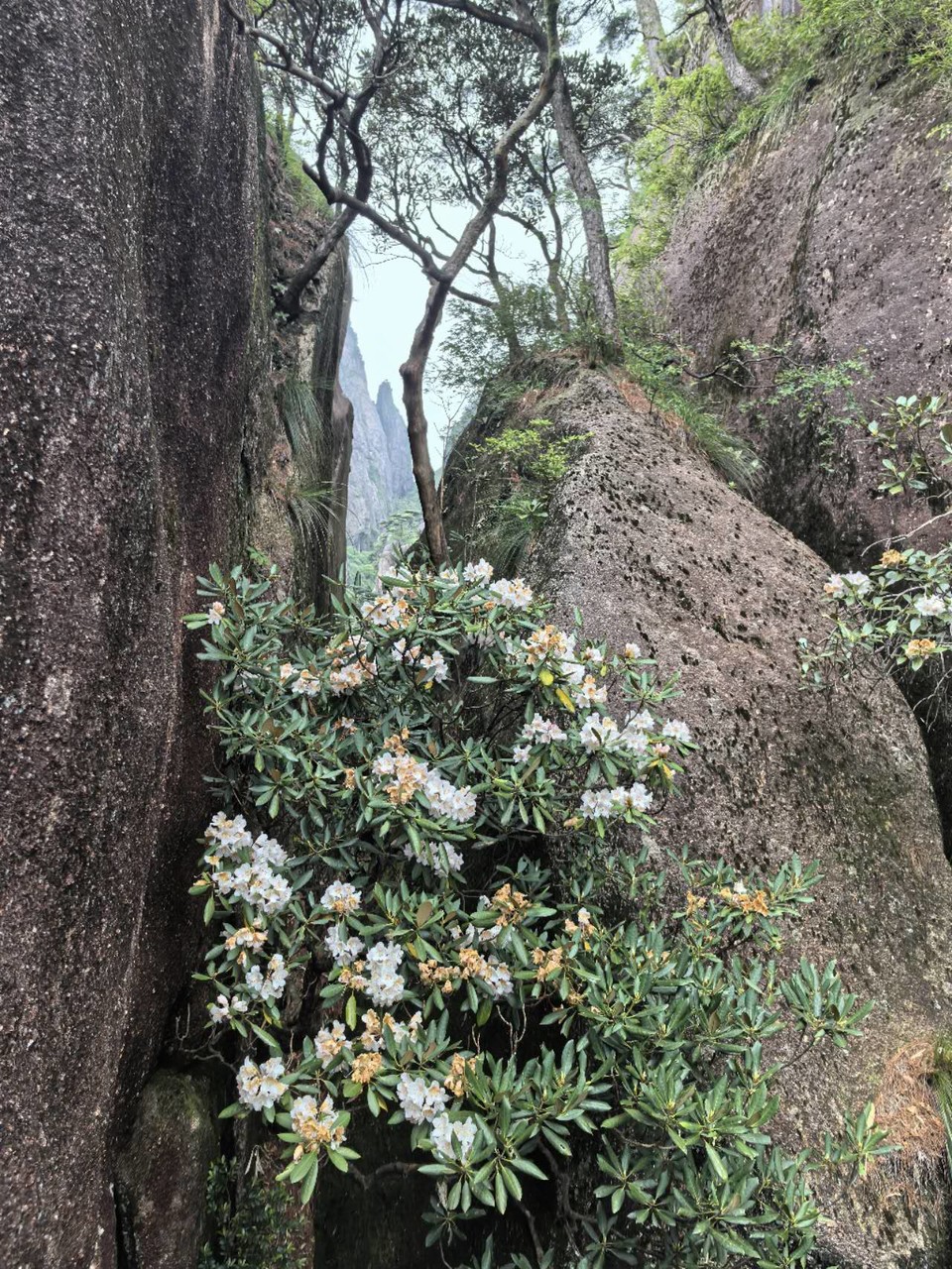 uFZoo1rkq_Vu9qhGIyHalTHwtGZXCqBPDLqxDFebIUb5N9ODN3XppIJHdwcuzDng