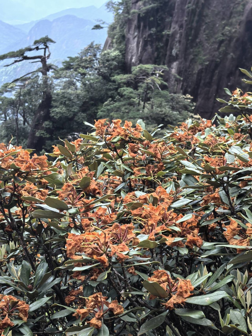 uFZoo1rkq_Vu9qhGIyHalSNtwvsvOG2txCY_9gnkE2RClaz56aSgqnajMnp_z0aV