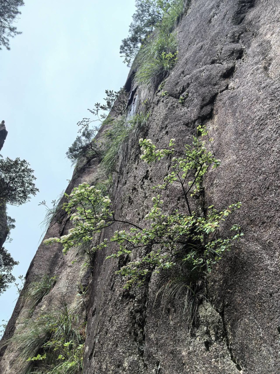 uFZoo1rkq_Vu9qhGIyHalePeio3jBEoY6XssANuIAgkjCIGYKpWdzUotKqOGqetJ