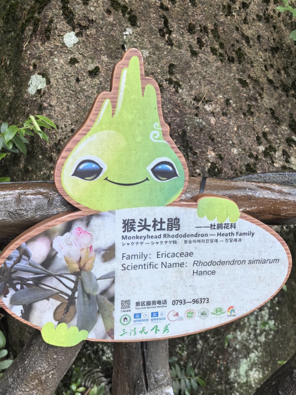 uFZoo1rkq_Vu9qhGIyHalae-bCoU1LXzcD-uGvaKkem1oJIJtffiPmLSfdRAAy_P