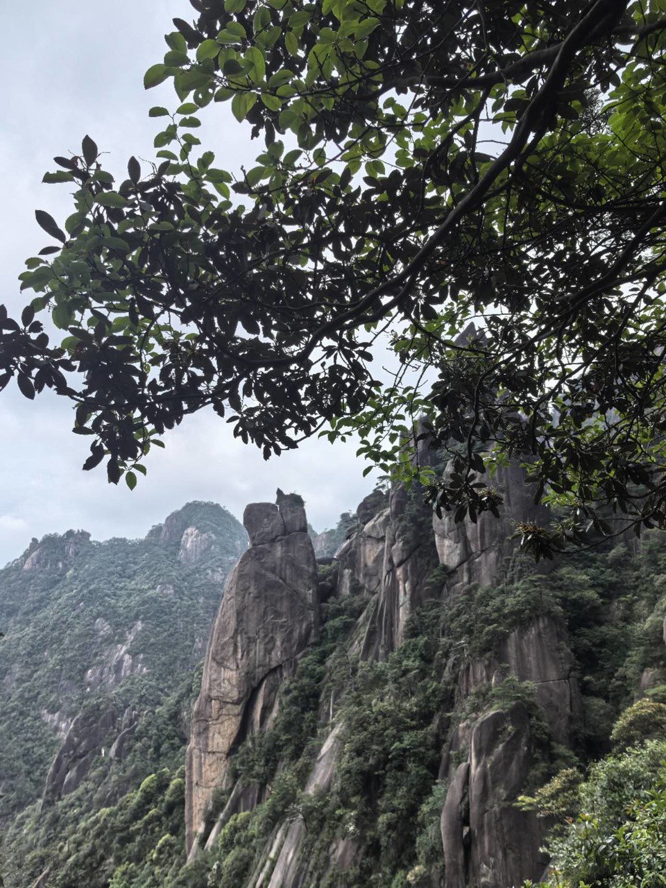 uFZoo1rkq_Vu9qhGIyHaleTRih0ZnV1-wRIdRVn8sZFTMCF8gO3qYidkrPtVfsh7