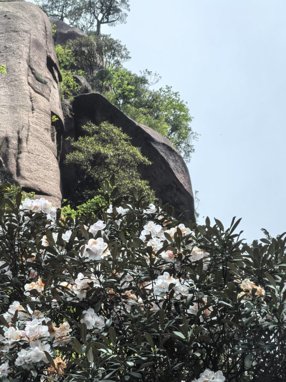 uFZoo1rkq_Vu9qhGIyHald3Xga4mhnkkHBUCOyM98bTRayN1PEXhPEvWO9v5Wdc6