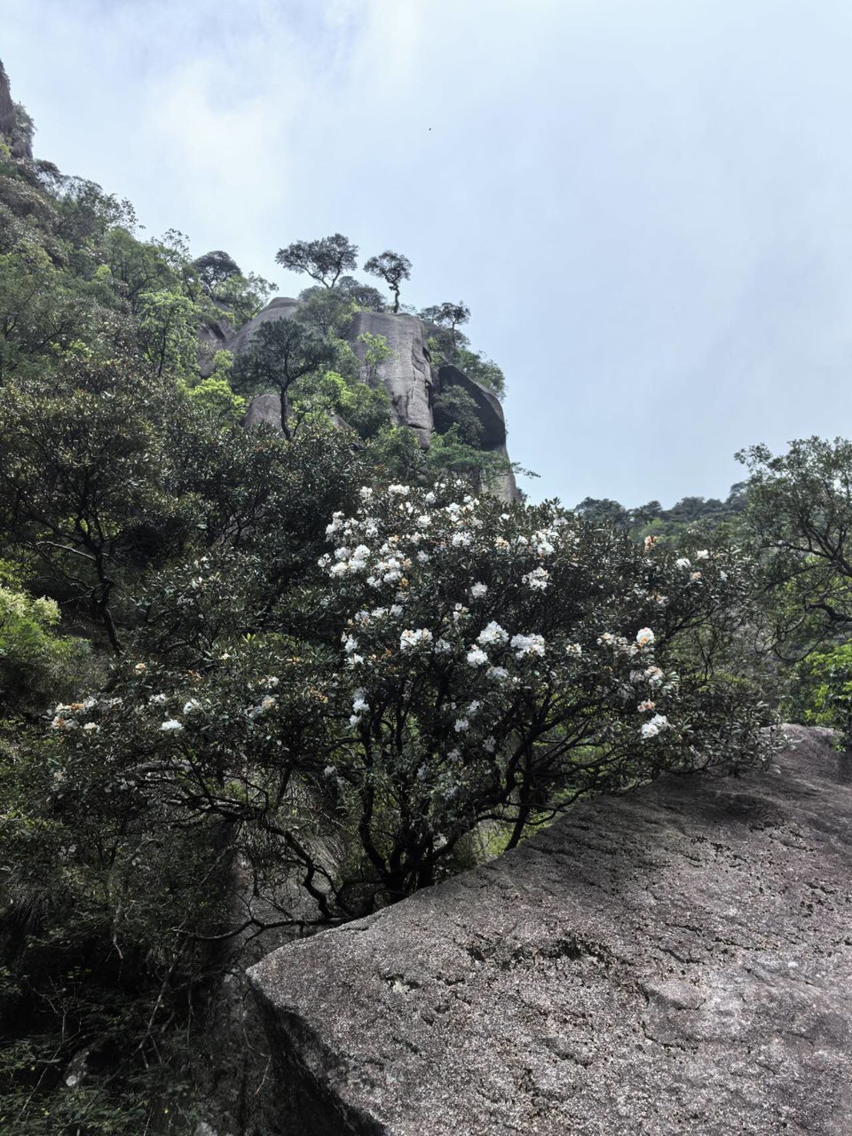 uFZoo1rkq_Vu9qhGIyHalTn3t19LDga1HHhhloLdVrzbT-__afTYqcKT10kSHPdl