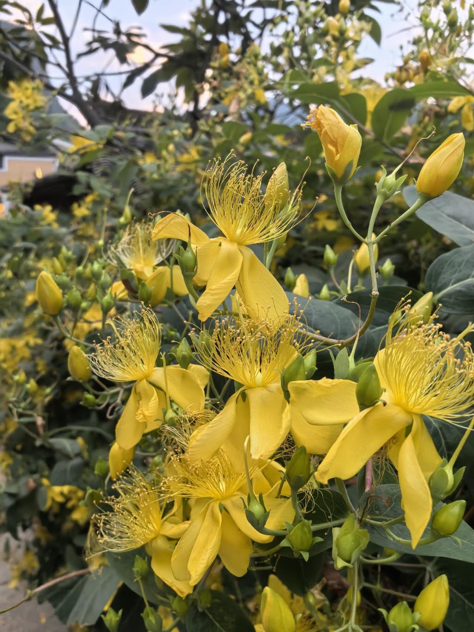 uFZoo1rkq_Vu9qhGIyHalUzmRWSCMffrEC71thzJkrQmvQ3Tvu58Gq9RZ3IcmfIb