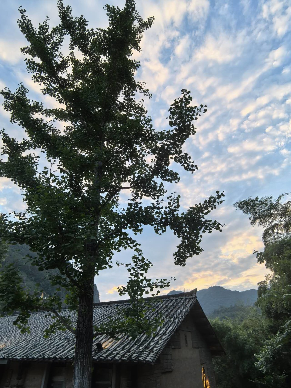 uFZoo1rkq_Vu9qhGIyHalTHKx5i0JPEdZR6gBqvjo2sXASD6F8-3gKdrVqLRG3VB