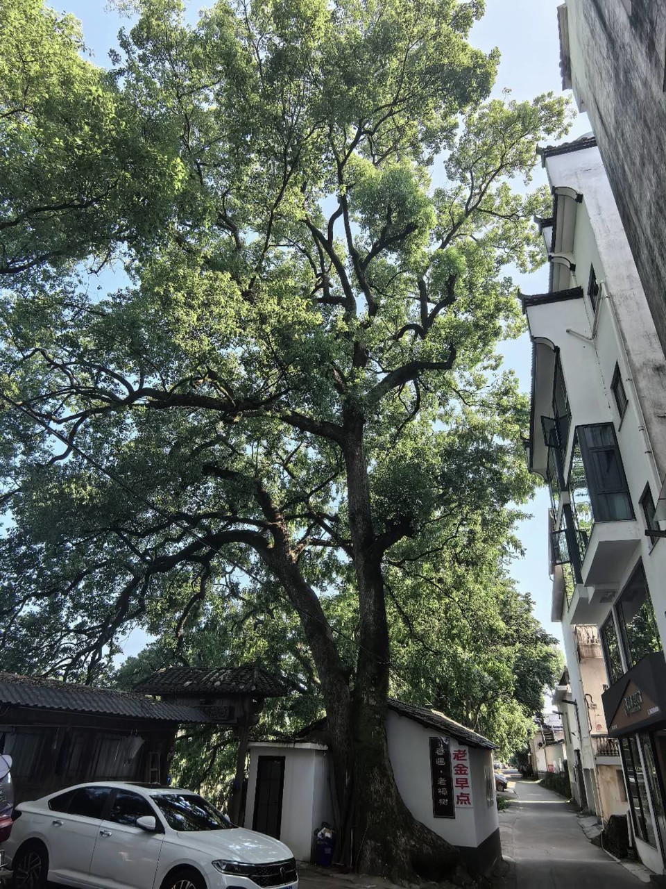 psreNqQnqDa4sihCXosx9fwKEbSdR1WNREUZA-LhjV8PGDIwKsoNIV-CNVNPCu64