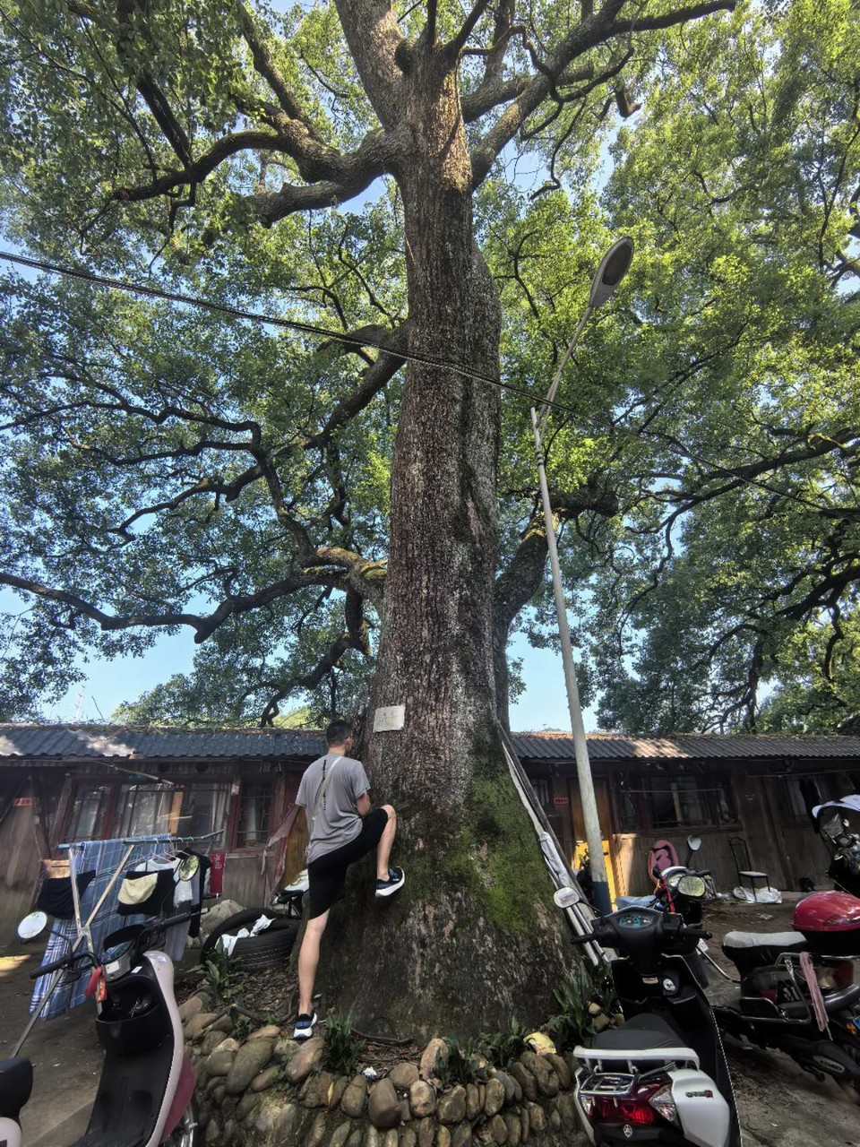 psreNqQnqDa4sihCXosx9VGRqGxCj9pqjGsEqIrjmYzNSNGMdHK6K94QGUMikqDX