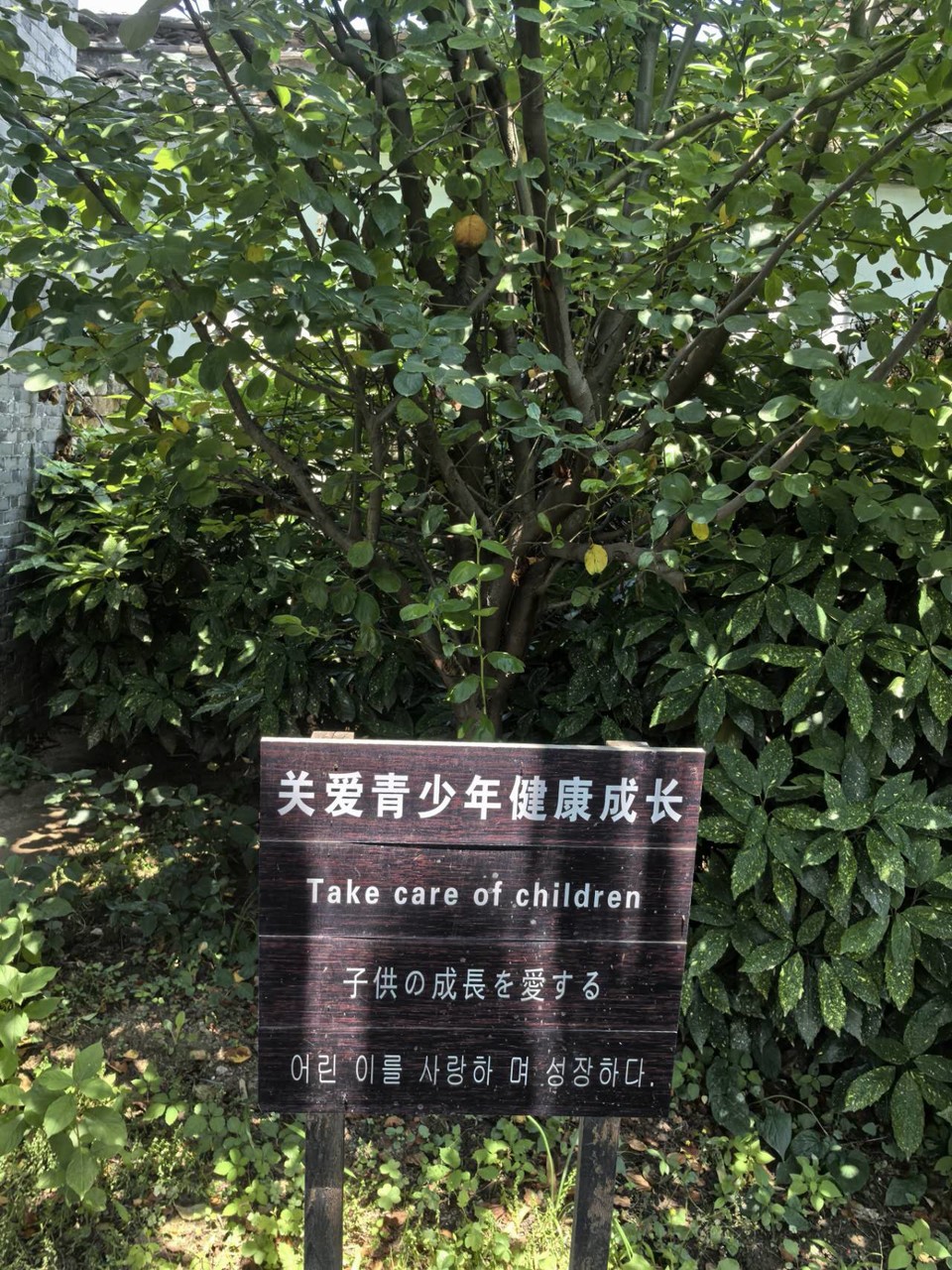 psreNqQnqDa4sihCXosx9YjoizQ4HUdpPWC18FS_VLqVJwCP9l2vZC7pjzahFWQO