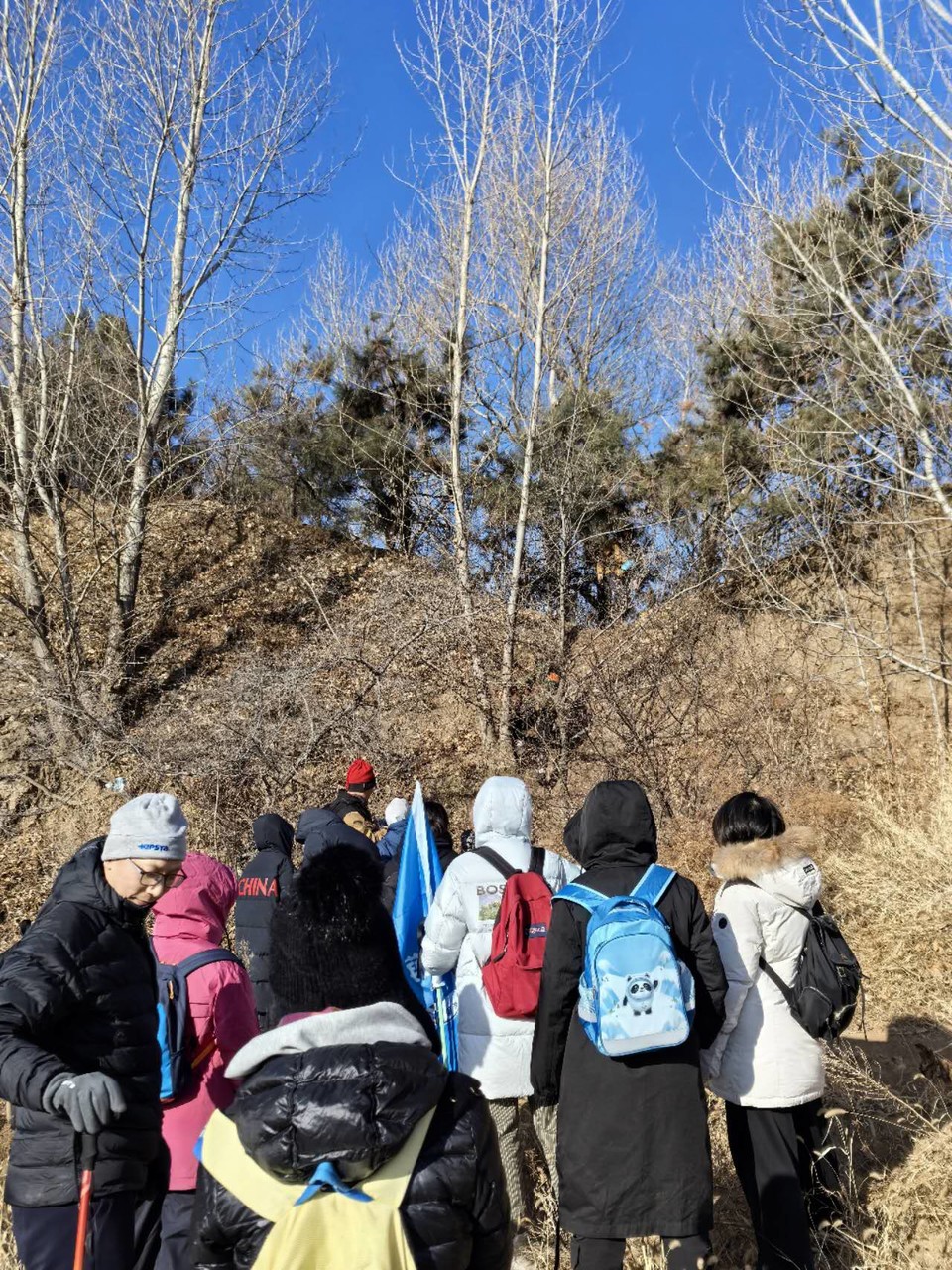 MIEV78VlIZwZsEwq7s7jy_ygJTABCjFpHXtvNmXa9wnxaIn4zLO6pSsYW49zAcPm