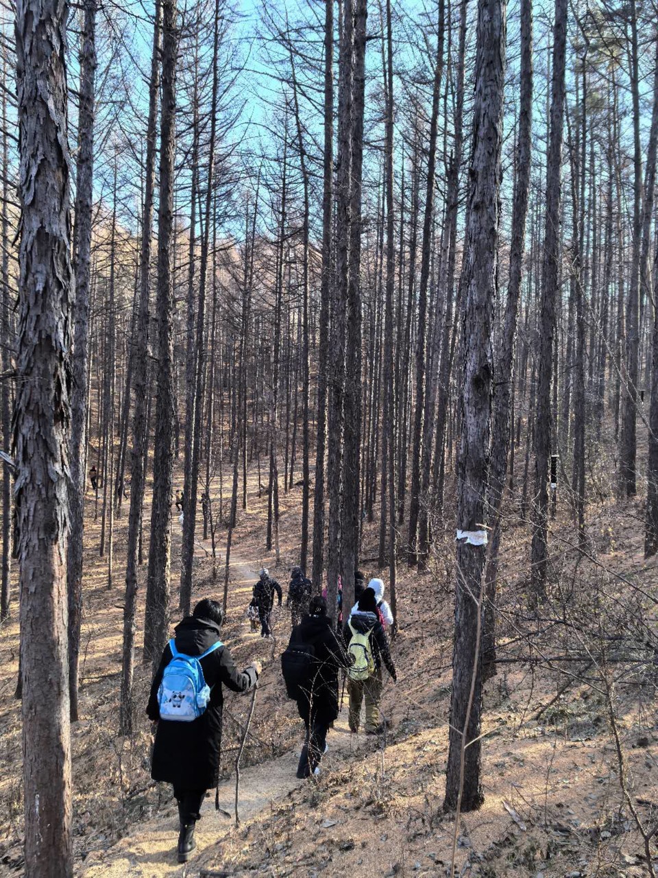 MIEV78VlIZwZsEwq7s7jy5X01xo-VnYQJk0d2u8bjjq28hgPn4LFXftAA2vM1sEz