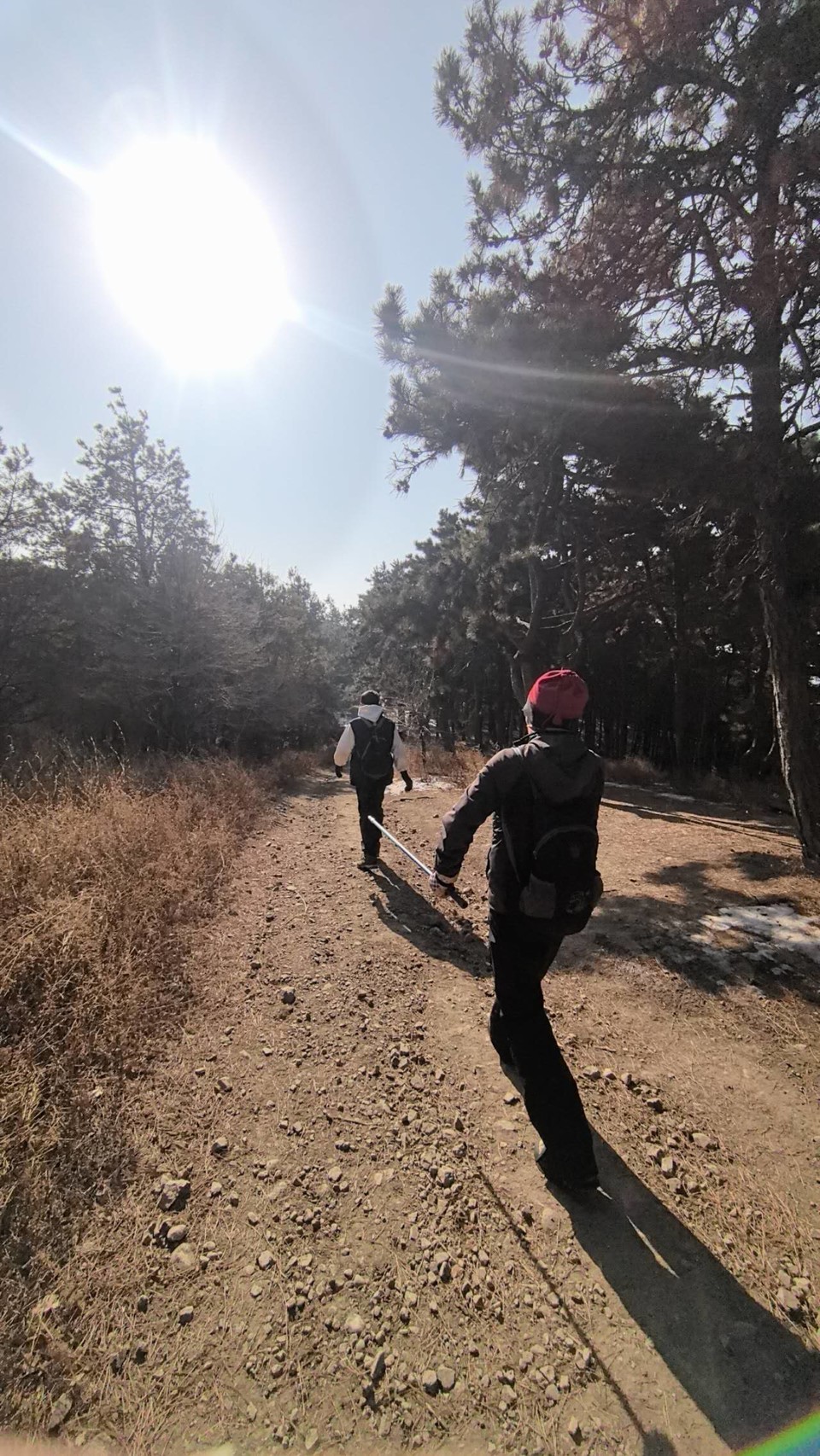 i1QSlIcUj1AXjO3zOUqIVd0jTupVuv5Wh8slZShApr1479hjEmjNcTOoaUl7UaNn