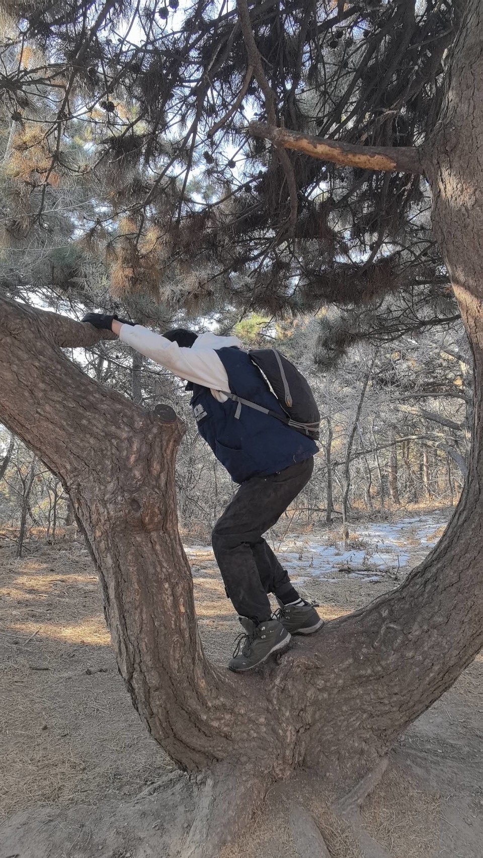 i1QSlIcUj1AXjO3zOUqIVVzM174VlfnHXBbqR3wKtVsijhUmQnVYehN9mUg4DBnP