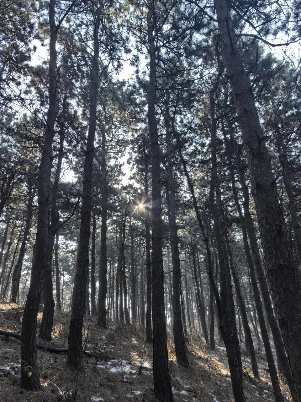 i1QSlIcUj1AXjO3zOUqIVYtmOXb4hGwBsOelx-DZSR_OTibTLWpRZK9yiLgaqIBa