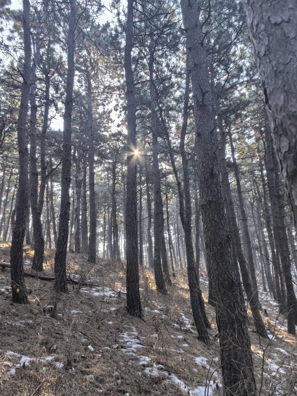 i1QSlIcUj1AXjO3zOUqIVQsQ-A8AKXOZpyly0eAUgnnB6H5Fv9AVOoBOdH1TgL2i