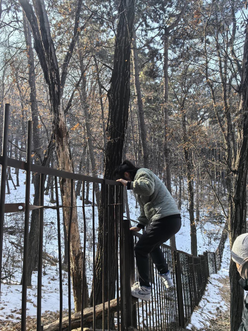 i1QSlIcUj1AXjO3zOUqIVbZMamOO0B36mygQ3wDMZmoGKRrTRfHXVlQhcxeMeA-8