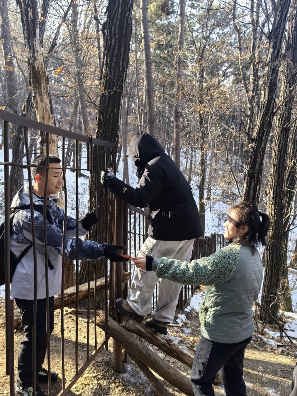 i1QSlIcUj1AXjO3zOUqIVZbJjAzYPhr_CtSfxh3vDhiJ8PduQed03jSaLiUaIV8R