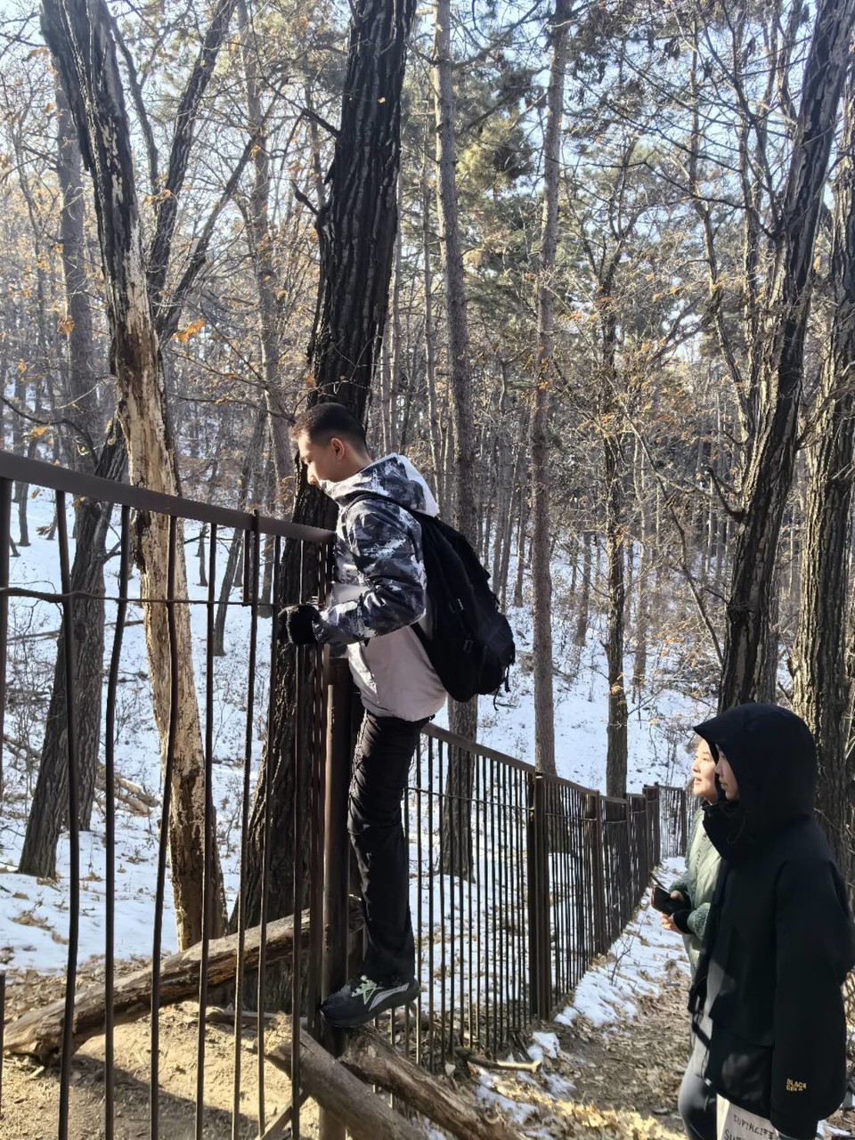 i1QSlIcUj1AXjO3zOUqIVWlta2jeBTQe9_bQAbtT3GD57Ig4be9whyhHulCMm71A