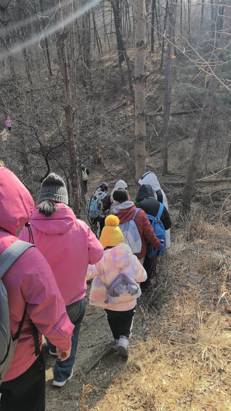 GwZbPEUSAVzbsf1sHFxYnnUH-WllhzNW5Uk_WG_CTSBj-lgZlqOtKZRA5Si7j_qJ