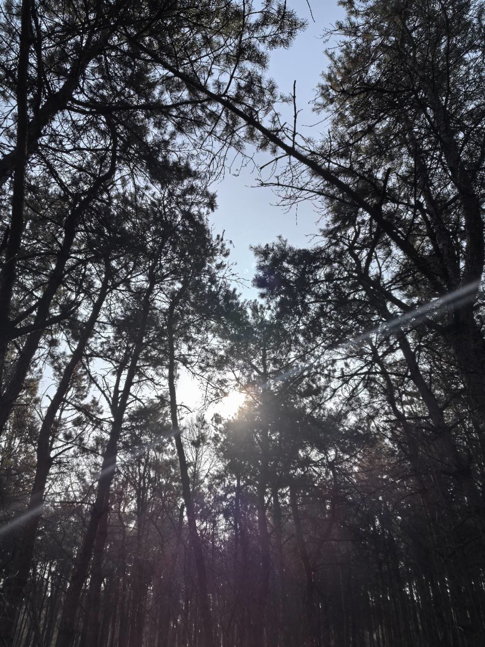 GwZbPEUSAVzbsf1sHFxYnmJaE8MHN_aZBv7xOfqyhPaOdI46Xa1rzVRIpDFJzk89