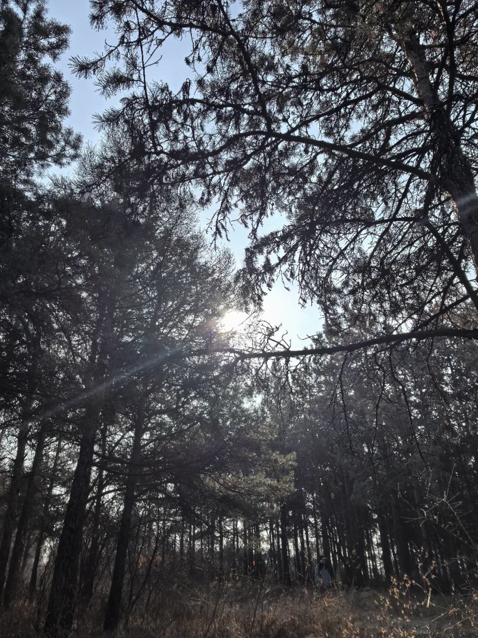 GwZbPEUSAVzbsf1sHFxYnp3XH2o91jHCV0aYExCRlyXBfMEWDVYeUo_5dngvwCWu