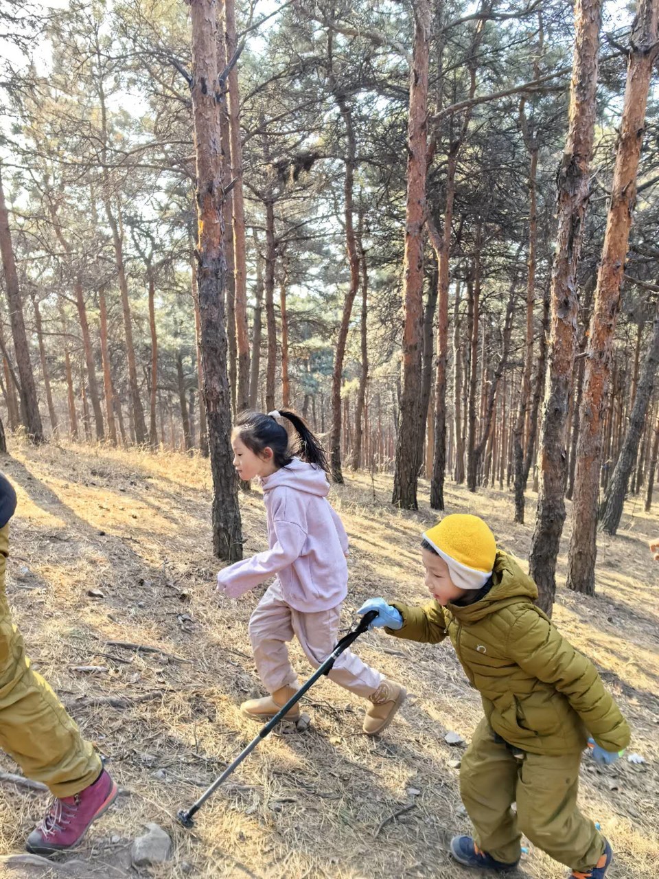 GwZbPEUSAVzbsf1sHFxYnvFVvOBvC1VC8LohDHp1Zoo67jNJIrZo89C64uI4uS8m