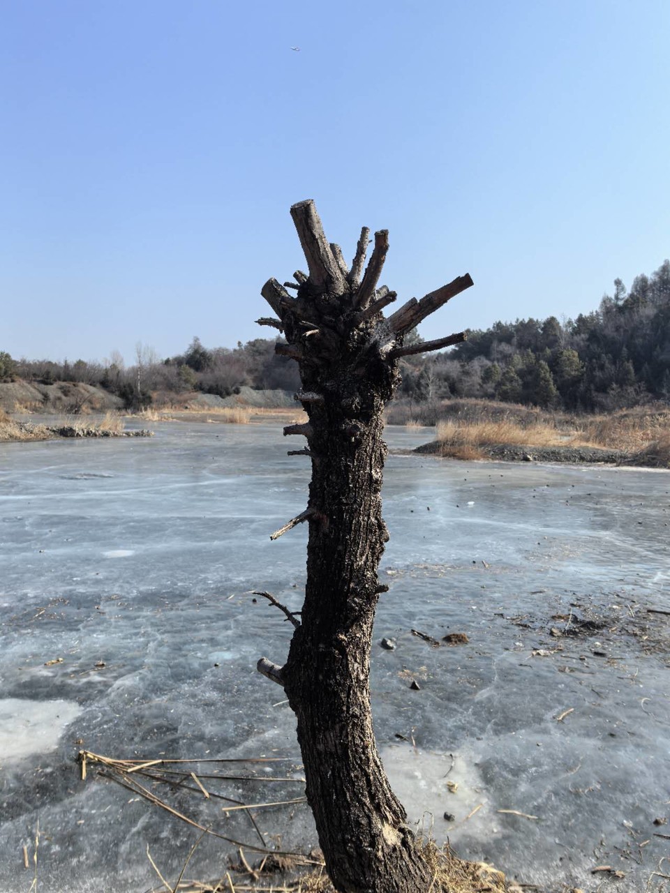 U2JOhLWEPp5LYeaGP8EfTamcrGk7_9Jh3ZHGghJSEAUKgjjkr-aFW3Hro9jhlwpK