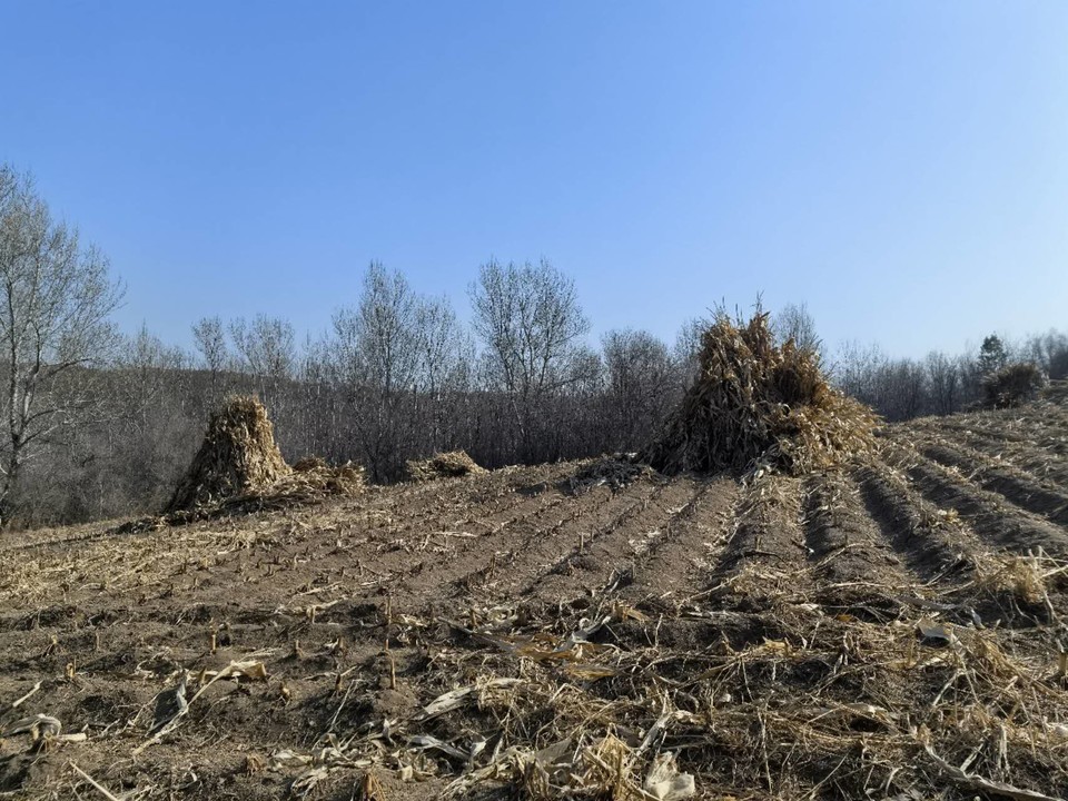 U2JOhLWEPp5LYeaGP8EfTfpJeCc8MmD1HG8K2BaFEOX6SYaHeXIhUC0DcM0eYwGM