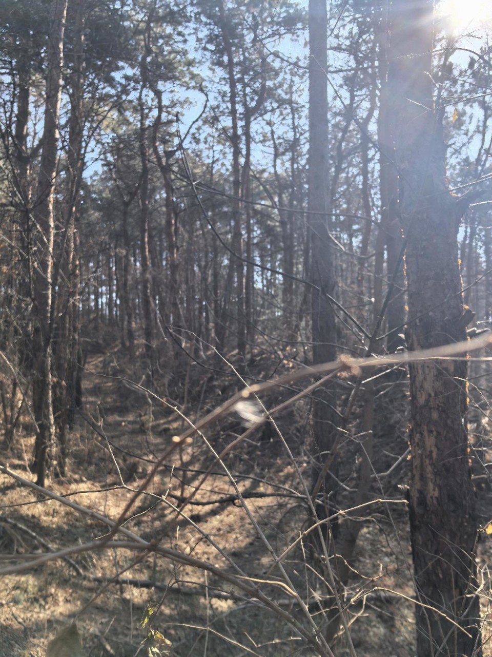 CfIL-k1X9emRsoQvxxO6FCFcIwlZU39MbXn4-V3XDIMFdHOd2q2sKK0AJllHXnNi