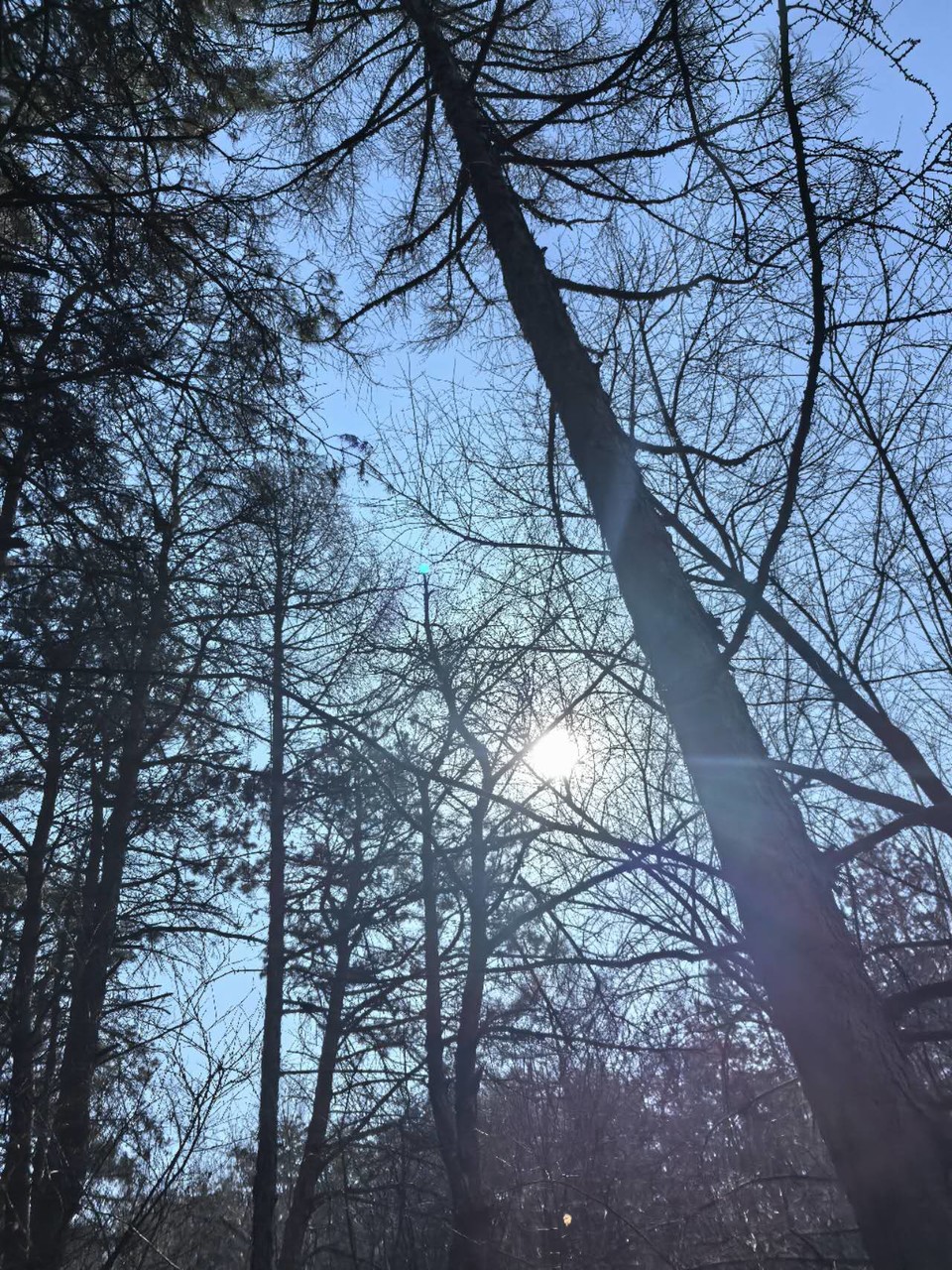 CfIL-k1X9emRsoQvxxO6FHC81pkMEoPGRpvEuElzjI0O3FPpRutkkjzfDood3kGL