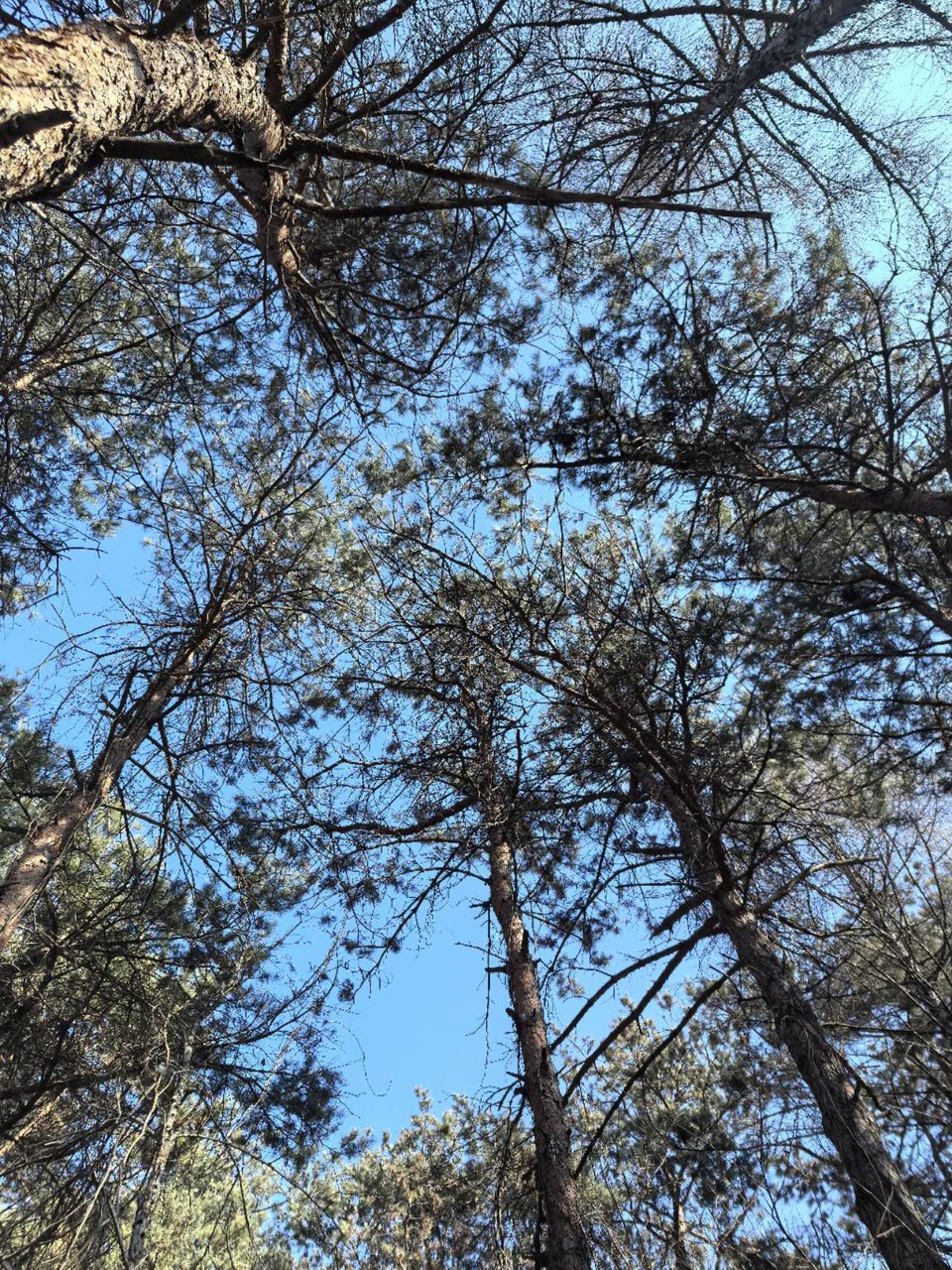 CfIL-k1X9emRsoQvxxO6FMzIo890F79rDtTBgtjl3F2sL_atKVpM4kRDQ0VbSXGS