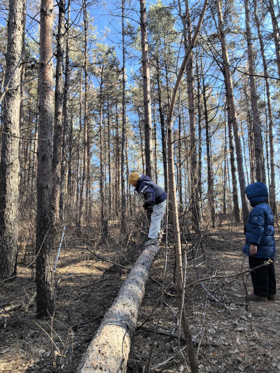 CfIL-k1X9emRsoQvxxO6FODIWoDfCs5nnP2UL7zzvf7DqNmpzcdywbxUeYfcBvDe