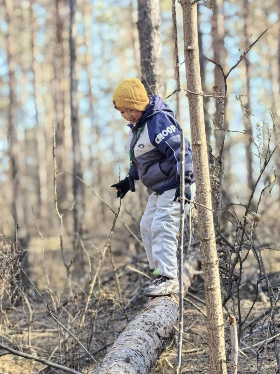 CfIL-k1X9emRsoQvxxO6FCRTkv_WoCEmuF2azr8hkeYT2hwTTZG4tDjh-bwTs7_0