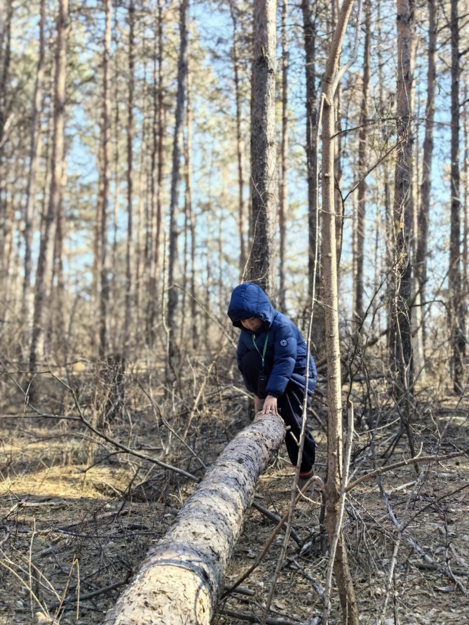 CfIL-k1X9emRsoQvxxO6FIqFkMEElXsfrXkK_dsMxt2IAe0lhNVIMXigeEbDk6KY