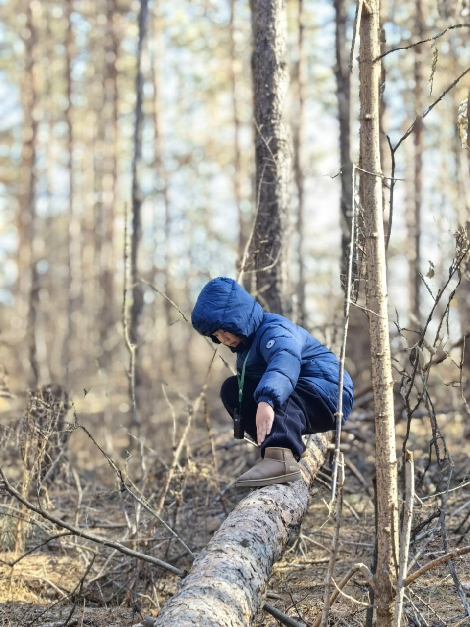 CfIL-k1X9emRsoQvxxO6FKWD_xlyUNpj1NtHDll3JaRRYOmKXFsm6Z4Fs6GhQApp