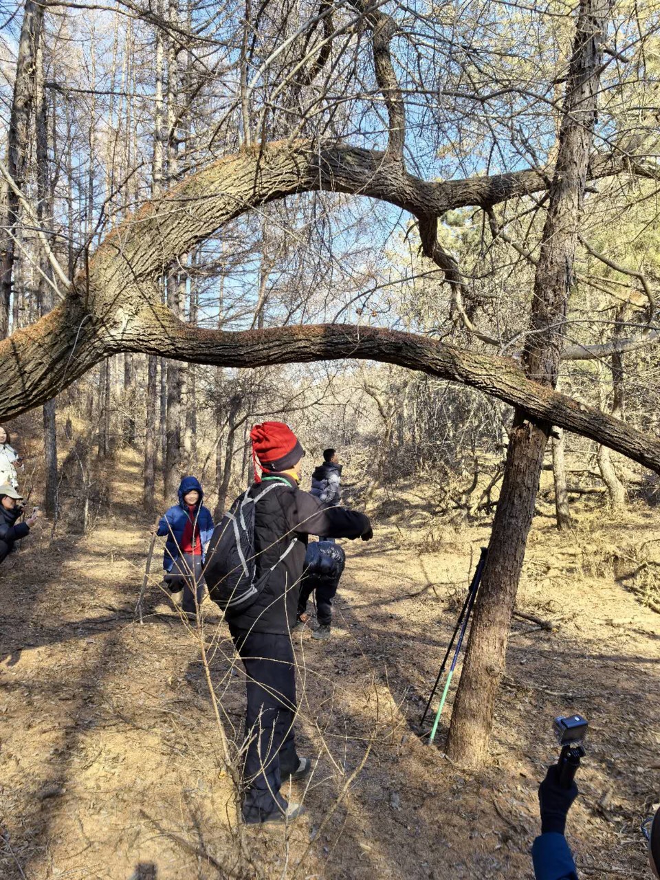 CfIL-k1X9emRsoQvxxO6FMYkBrC4AeakY65yWMdYNu8ZnyRMt_jBWSCOaMcxAi4m